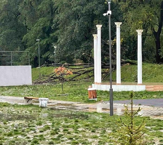 След ваш сигнал: отстранено е падналото дърво в Етнографския комплекс в Трявна След ваш сигнал: отстранено е падналото дърво в Етнографския комплекс в Трявна